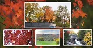 কানাডায় শীতের আগমনী বার্তা; অপরূপ সৌন্দর্যে বিমোহিত পর্যটকরা